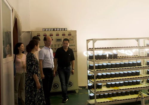 廣東省照明電器協會吳文鋒會長一行調研嘉美工業(yè)園，深化行業(yè)交流合作