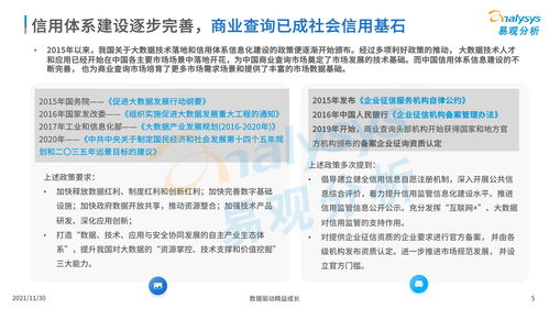 中國(guó)商業(yè)查詢(xún)市場(chǎng)分析2021