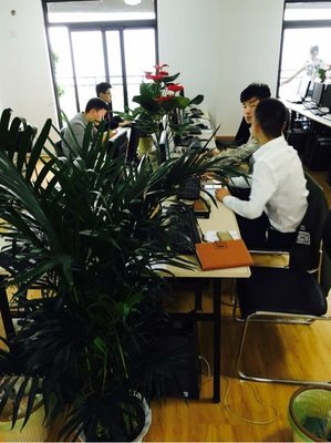 武漢金誠(chéng)匯譽(yù)商務(wù)信息咨詢 專業(yè)服務(wù)助力企業(yè)發(fā)展